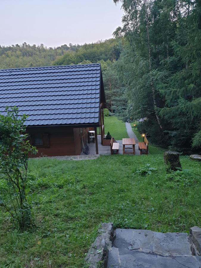 Domki Letniskowe Pod Lasem Koziniec Экстерьер фото